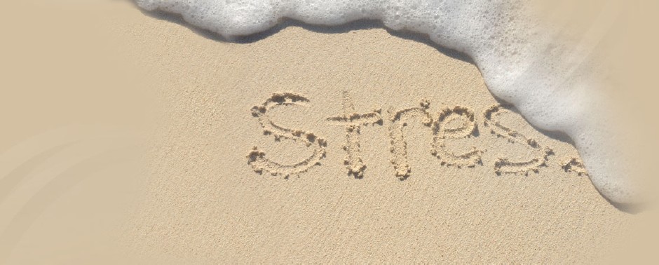 Taxes stressing you out?